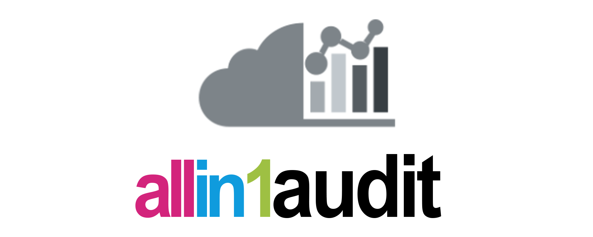 allin1audit